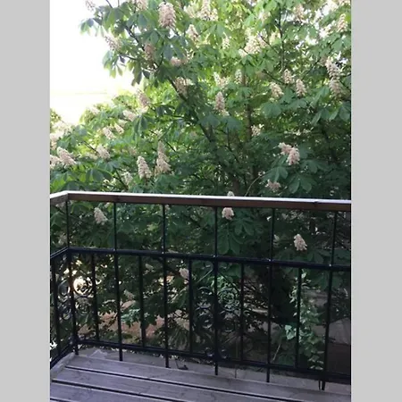 Huge Loft In Heart Of Apartman Tallinn